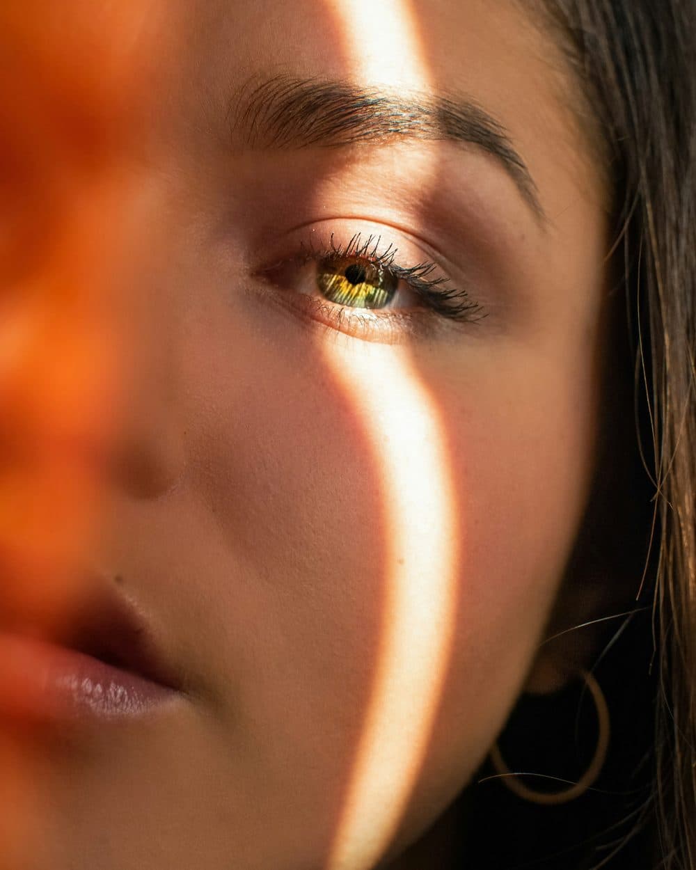 Light caught along the top of the cheekbone