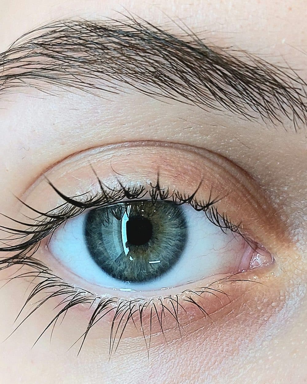 A groomed natural brow, close